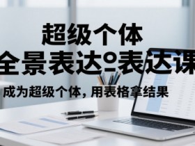 超级个体全景表达课,成为超级个体,用表格拿结果