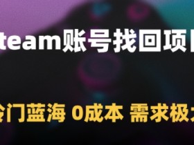 Steam账号找回项目,冷门蓝海,0成本,需求极大