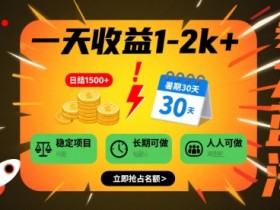 一天收益1-2k+ 稳定项目,暑期暴力蓝海项目,长期稳定,人人可做【揭秘】