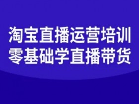 淘宝直播运营培训-零基础学会直播卖货