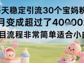 每天稳定引流30个宝妈粉当月变成超过了1W+项目流程非常简单适合小白