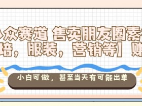 小众赛道售卖朋友圈素材【教培,服装,营销等】賺麻了,小白可做,甚至当天有可能出单