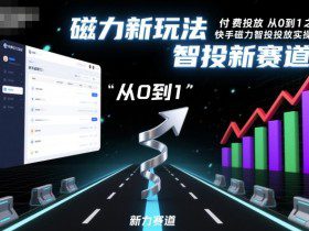 付费投放从0到1之快手磁力智投投放实操,磁力新玩法,智投新赛道