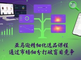 亚马逊精细化选品课程,通过市场细分打破盲目竞争