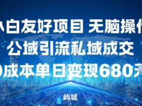 小白友好项目,无脑操作,公域引流私域成交,0成本单日变现680米