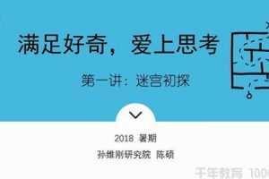 千聊 孙维刚研究院-陈硕 让学生爱上思考的数学思维课 2018