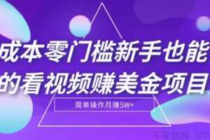 零成本零门槛新手也能做的看视频赚美金项目