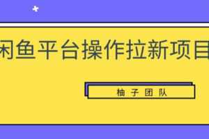 柚子团队《闲鱼平台操作拉新项目》单笔起步利润100+