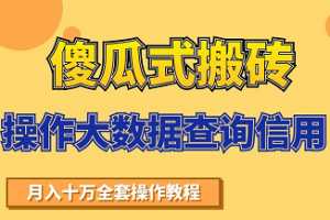 搬砖操作大数据查询信用项目赚钱教程，祝你快速月入6万