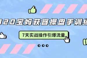 2020宝妈获客操盘手训练营：7天实战操作引流宝妈粉，引爆宝妈流量