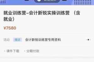 就业训练营-会计新锐实操训练营（赠真账实训课程）