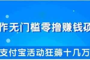 柚子团队内部项目：操作无门槛零撸赚钱项目，利用支付宝项目狂薅十几万