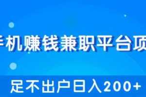 柚子团队内部项目课程：手机兼职平台赚钱项目，让你足不出户日入200+