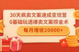 雨涛老师30天疯卖文案速成变现营，0基础玩透爆卖文案捞金术！每月增收20000+