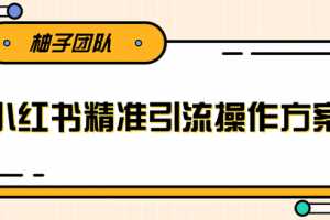 落地实操的小红书精准引流操作方案，一步步执行轻松爆流上万【视频教程】