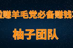 柚子团队内部项目课程：羊毛党必备兼职项目，哆啦赚轻松日入200+