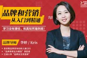 李婷kris品牌和营销：从入门到精通