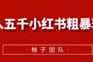 月入五千小红书粗暴赚钱玩法，适合上班族的赚钱副业【视频课程】