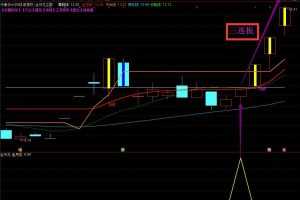 蒋文雅金月龙指标 实战天天抓板+每月抓连板妖股 组合强势升级版指标主图+幅图