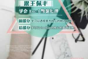 3小时跟王佩丰学会excel数据处理