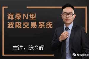 海桑（陈金辉）：N型波段交易系统 期货课程