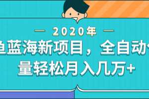 闲鱼新蓝海项目，全自动化流量轻松月入几万+