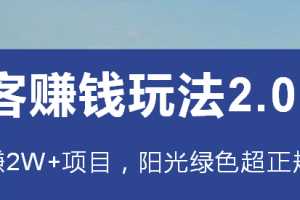 淘客赚钱玩法2.0，阳光绿色超正规项目，月躺赚2W+【视频课程】