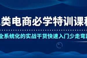 二类电商必学的特训课，超全系统化的实战干货