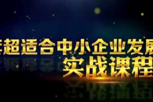 苏引华《2020商业思维》现场讲座全程高清完整视频（97集）