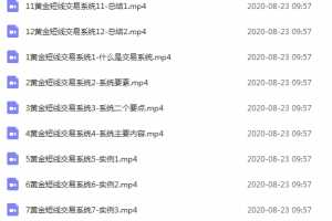 【外汇通】外汇黄金实战教程-玩转黄金短线交易系统 12视频