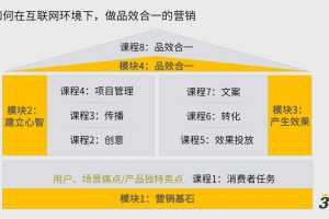 三节课刀姐Doris《营销P2系列课》做品效合一的营销