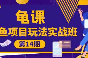 龟课·闲鱼项目玩法实战班第14期，批量细节玩法，9大体系模块实操