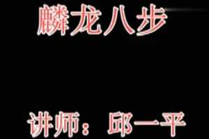 邱一平 麟龙八部 8视频