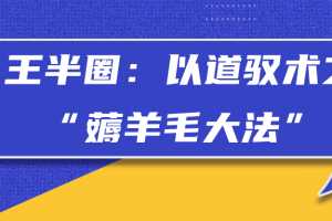 王半圈：以道驭术之“薅羊毛大法”