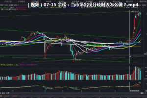 【小黄牛】余松-量学十八招公开课合集包