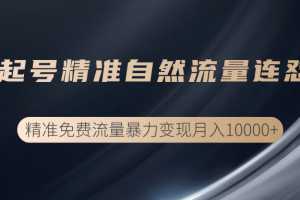 垂直起号精准自然流量连爆玩法，精准引流暴力变现月入10000+