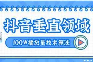 2020抖音垂直领域内训课程，100W播放量热门技术推荐算法（完结）