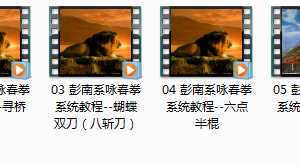 彭南系咏春拳系统教程_木人桩小念头拳谱