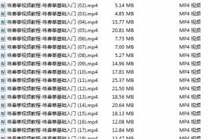 咏春拳基础入门教程_学习咏春拳的基本手法