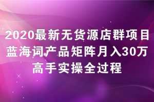 2020最新无货源店群项目，蓝海词产品矩阵月入30万，高手实操全过程（视频教程）