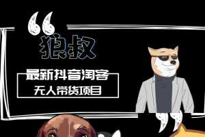 最新抖音淘宝客无人带货项目课程：操作好每月收入十几万不夸张