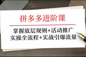 拼多多进阶课 掌握底层规则+活动推广+实操全流程+实战引爆流量