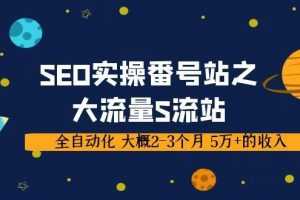 SEO实操项目番号站之大流量S流站，全自动化 大概2-3个月 5万+的收入