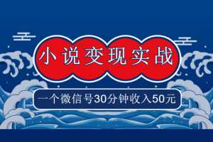 麒麟社VIP《小说变现实战班》，一个微信号30分钟收入50元