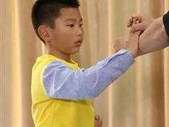 咏春拳入门幼儿启蒙教学视频课程（10集）
