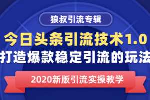 狼叔今日头条引流技术1.0，打造爆款稳定引流的玩法，快速获得平台推荐量的秘诀