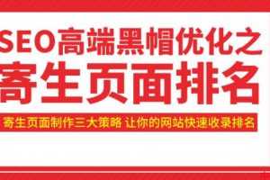 SEO高端黑帽优化之寄生页面排名，制作策略+快速收录排名（视频课）