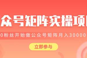 价值2580元公众号矩阵实操项目，从0粉丝开始做赚钱的公众号矩阵，月入30000+