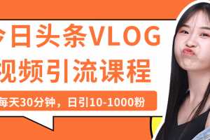 今日头条VLOG视频引流课程：每天30分钟，日引10-1000粉（完结）