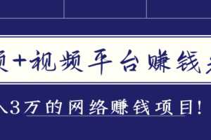 音频和视频平台赚钱先机，月入3万的赚钱项目